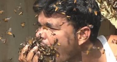 "مناعة عمرها 16 عاما".. قصة شاب هندى قادر على تناول النحل الحى.. فيديو وصور