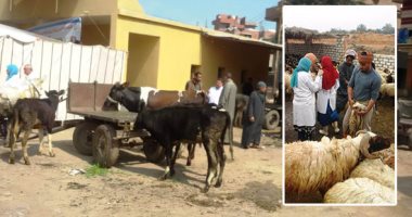 صور.. "الزراعة" تنهى تحصين 3 ملايين و635 ألف رأس ماشية ضد الحمى القلاعية والمتصدع فى 41 يوما.. "منى محرز" تعلن انطلاق حملة جديدة للأبقار فقط لحمايتها من الجلد العقدى أبريل المقبل.. وتناشد المربين بالاستجابة