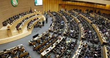 8 اختصاصات لبرلمان عموم أفريقيا.. تعرف عليها
