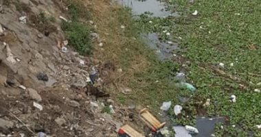 قارئ يشكو حيوانات نافقة وقمامة بفرع نهر النيل فى السنبلاوين