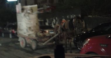 انتشار عربات نبش القمامة بمصر الجديدة