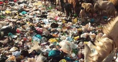 شكوى من انتشار القمامة بكوبرى ميت نما بالقلوبية