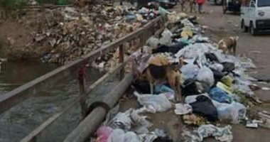 شكوى من انتشار القمامة بقرية ميت نما بالقليوبية