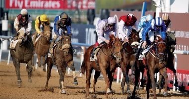 تقارير إنجليزية: كأس دبى للخيول الأغلى فى العالم وجوائزه 12 مليون دولار