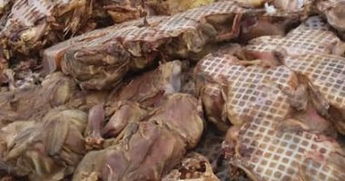إعدام 500 كيلو من اللحوم والدواجن الغير صالحة للاستهلاك الآدمى بالخانكة