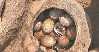 اكتشاف بيض فراخ يعود عمره إلى 2500 عام فى الصين.. اعرف التفاصيل