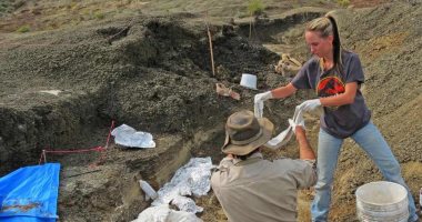 صور.. اكتشاف مقبرة للديناصورات فى أمريكا عمرها 66 مليون سنة