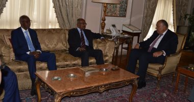 سامح شكرى يبحث القضايا الإقليمية وأمن البحر الأحمر مع وزير خارجية إريتريا