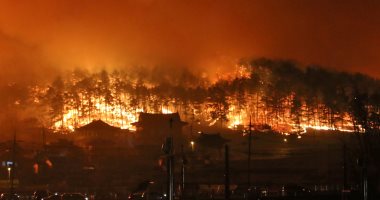 صور.. حريق هائل يلتهم مبانى وسيارات شمال كوريا الجنوبية وفرار الآلاف