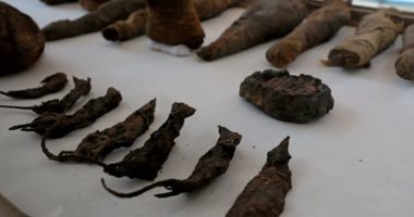 صحيفة إيطالية تبرز اكتشاف "مقبرة توتو" بسوهاج: تضم مومياوات وفئران وصقور