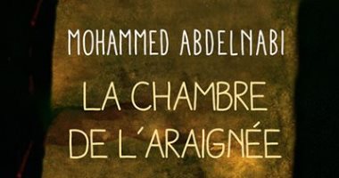 صدور الطبعة الفرنسية من "غرفة العنكبوت" لـ محمد عبد النبى