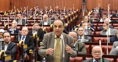 فيديو وصور.. النائب كمال أحمد يقترح موافقة البرلمان على تعيين نائب لرئيس الجمهورية