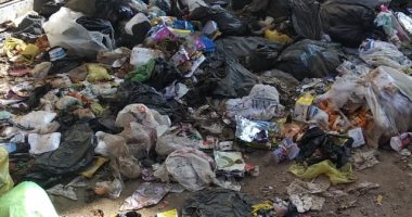 قارئ يشكو تراكم القمامة فى شوارع قرية دروة بمركز أشمون بالمنوفية
