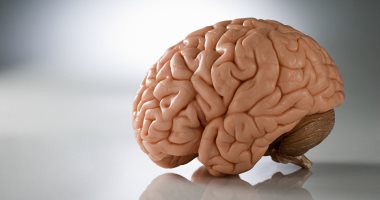 بشرى لمرضى السمنة.. علماء يكتشفون "لوحة مفاتيح" الجوع فى المخ