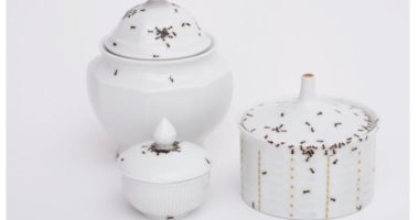 فنانة ألمانية ترسم النمل على الأطباق والكوبيات وتبيعها بأسعار مرتفعة ..صور