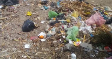 شكوى من انتشار القمامة والأوبئة فى قرية البغدادى بالأقصر