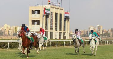 غدا.. انطلاق النسخة 26 لكأس رئيس الدولة للخيول العربية من القاهرة