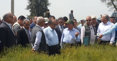 صور.. وزير الزراعة يتفقد محصول القمح بمحطة بحوث سخا فى كفر الشيخ