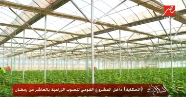 بشائر المشروع القومى للصوب الزراعية.. انتاج وتصدير ومنتجات صحية وآمنة 100%