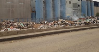 قارئ يشكو من تراكم القمامة أعلى كوبرى محمد نجيب بالمرج الشرقية