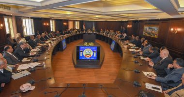 فيديو.. محافظ الإسكندرية: المحافظة تضم 18 لجنة لإجراء الاستفتاء على الدستور