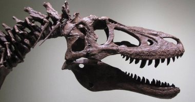 "يا بلاش".. ديناصور للبيع بقيمة 2.95 مليون دولار على موقع بيع اون لاين