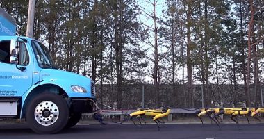 صور.. 10 روبوتات على شكل كلاب تعمل معًا لسحب شاحنة نقل كبيرة