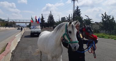 صور.. رحالة سورى يبدأ رحلته من دمشق إلى موسكو على ظهر حصان 