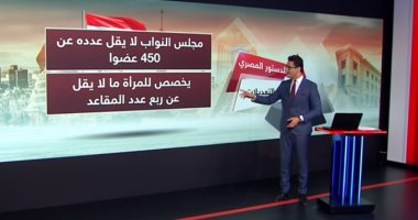 شاهد.. "سكاى نيوز" تبرز أهمية التعديلات الدستورية فى حياة المصريين
