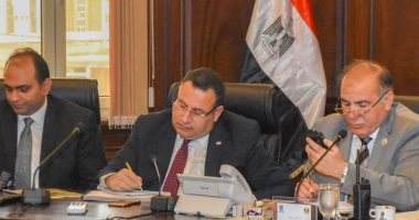 محافظ الإسكندرية: انتظام سير الاستفتاء فى المقار الانتخابية