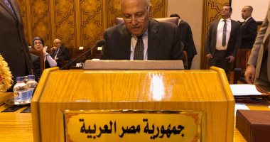 وزير خارجية الحكومة الليبية المؤقتة: مصر وروسيا داعمان رئيسيان لليبيا