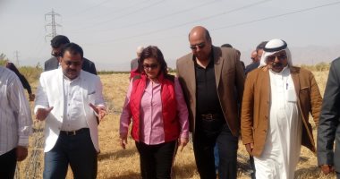 صور.. نائب وزير الزراعة تشهد فعاليات موسم حصاد القمح بطور سيناء