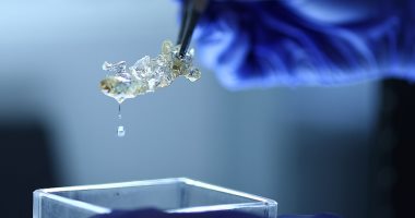 باحثون ألمان يبتكرون أول أعضاء بشرية شفافة باستخدام الطباعة 3D 