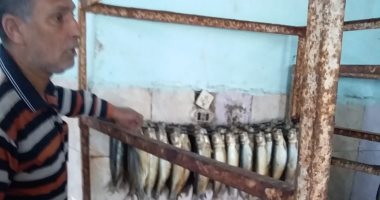 "صحة الشرقية": إعدام 1.9 طن أسماك مملحة ومدخنة فاسدة بأعياد شم النسيم