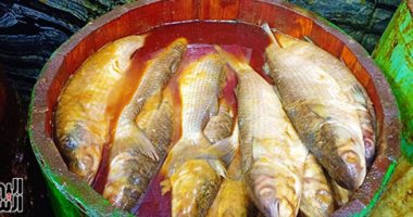 الصحة تحذر: تناول الأسماك المملحة يضعف الجهاز المناعى للإنسان 