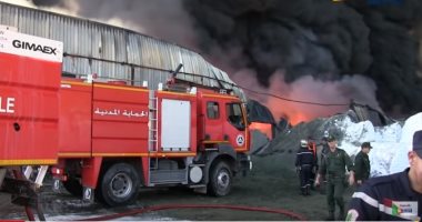فيديو.. حريق ضخم يلتهم مخزن للمواد الكيماوية والبلاستيكية فى الجزائر