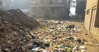 شكوى من انتشار القمامة بإحدى قرى المنوفية: "ما اترفعتش من 6 أشهر"