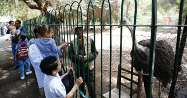 إلغاء إجازات البيطريين بحدائق الحيوان استعدادًا لعيد الفطر