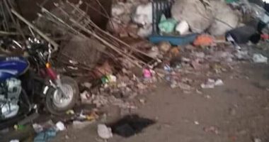 قارئ يشكو من انتشارر القمامة بشارع على عبد المجيد فى عزبة النخل
