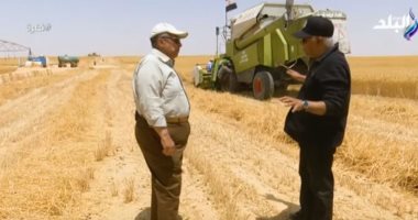 الزراعة: 15 ألف جنيه معدل ربح فدان القمح فى مشروع غرب المنيا.. فيديو