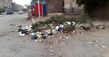 شكوى من انتشار القمامة أمام مدرسة بعزبة الهجانة فى مدينة نصر