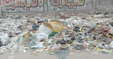قارئ يشكو من انتشار القمامة والأوبئة بشارع جسر السويس 