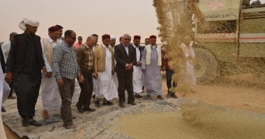 فيديو وصور .. محافظ مطروح يتابع حصاد القمح والشعير بمدينة النجيلة