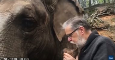 بعد فراق دام 35 عاما.. لقاء عاطفى يجمع الفيلة كريستى مع حارسها