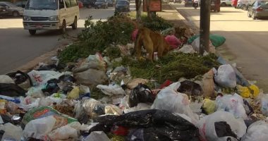 شكوى من انتشار القمامة بشارع وادى النيل بالمهندسين