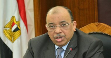 وزير التنمية المحلية: 60 مليون جنيه لتوصيل الكهرباء لـ26 تجمعا تنمويا بسيناء