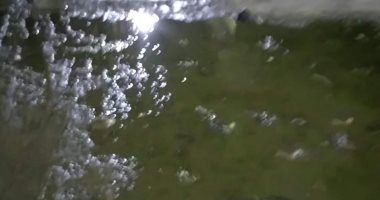 انتشار مياه الصرف الصحى بشارع محمد مصطفى بالبحيرة يؤرق الأهالى