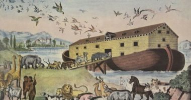 موقع أجنبى يزعم: وجود دلائل علمية حول استقرار سفينة نوح فى أمريكا