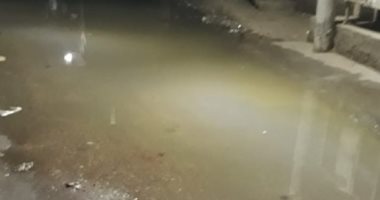 قارئ يشكو انتشار مياه الصرف الصحى بقرية بانوب فى الدقهلية