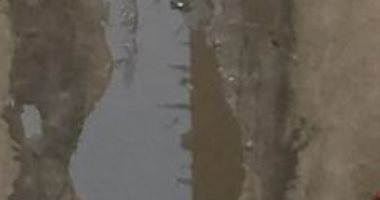 شكوى من انتشار مياه الصرف الصحى بقرية كفر أباظة بالشرقية